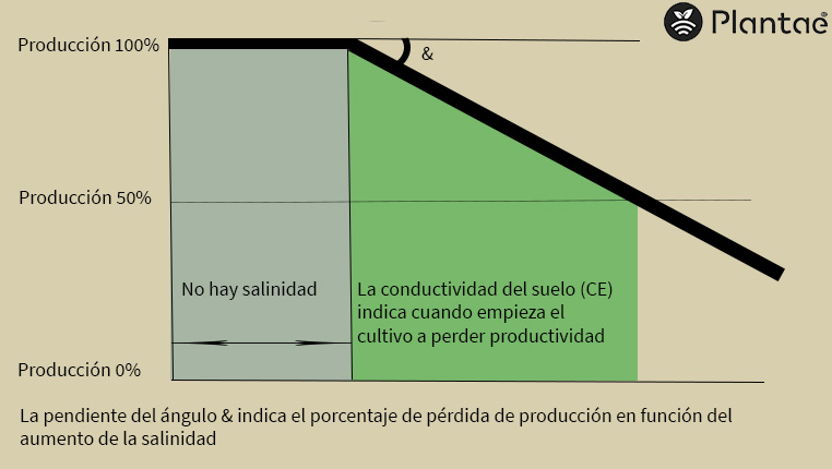 Porcentaje de sales