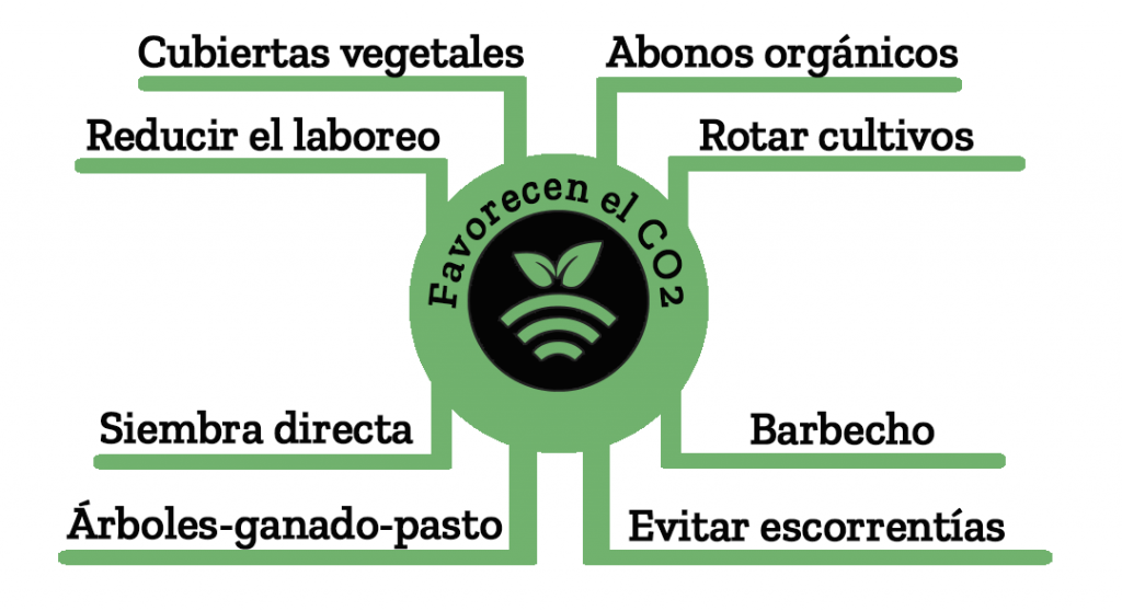 Reducir el carbono