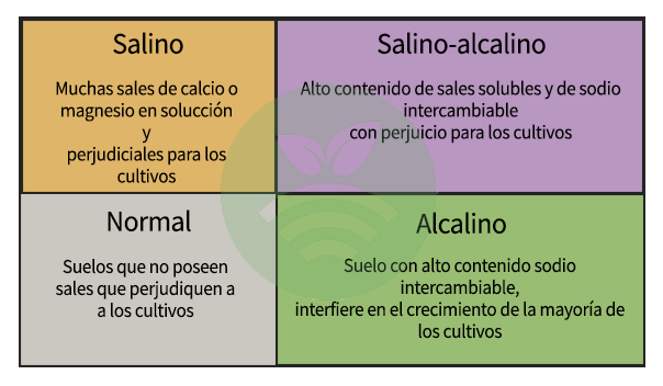 Tipos de sales