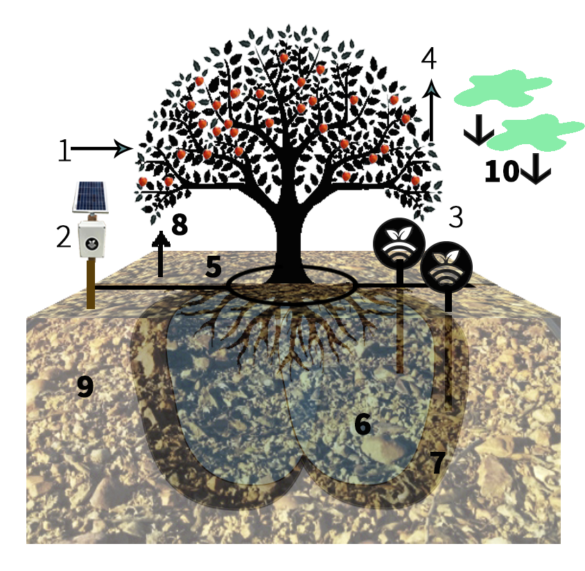 Ciclo del agua
