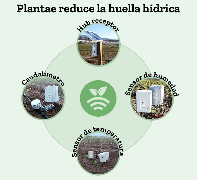 Plantae reduce la huella hídrica