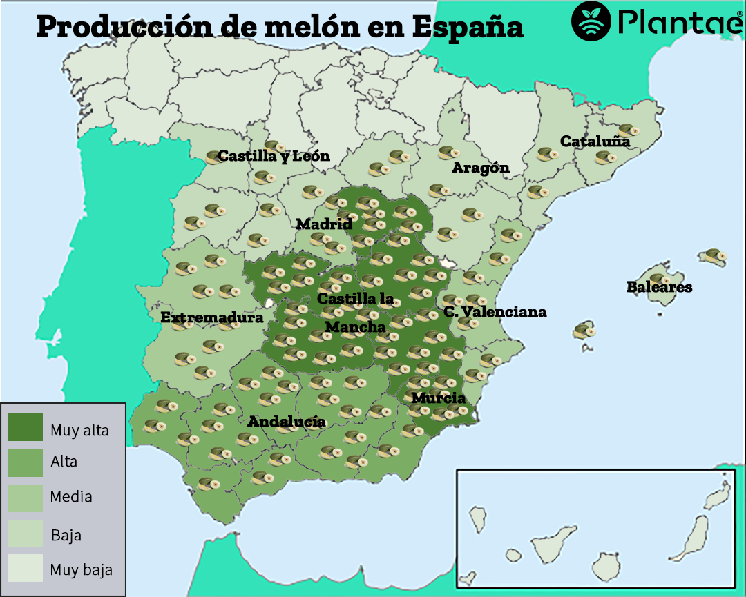 Mapa de España de producción de melón
