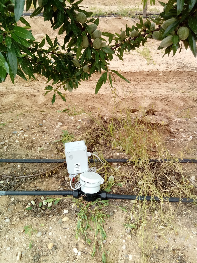 Caudalímetro de agua de riego en almendro intensivo