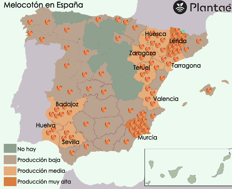 Mapa del melocotón en España