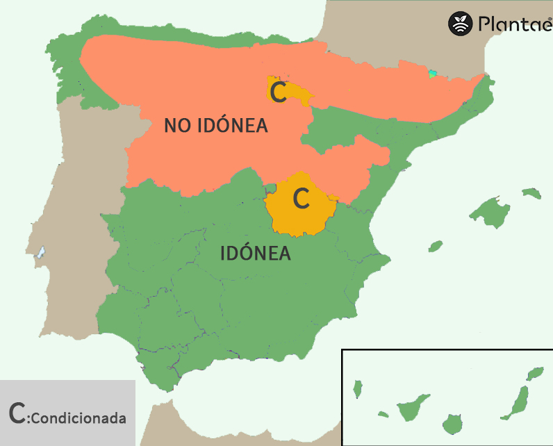 Mapa de heladas tardías para almendro intensivo