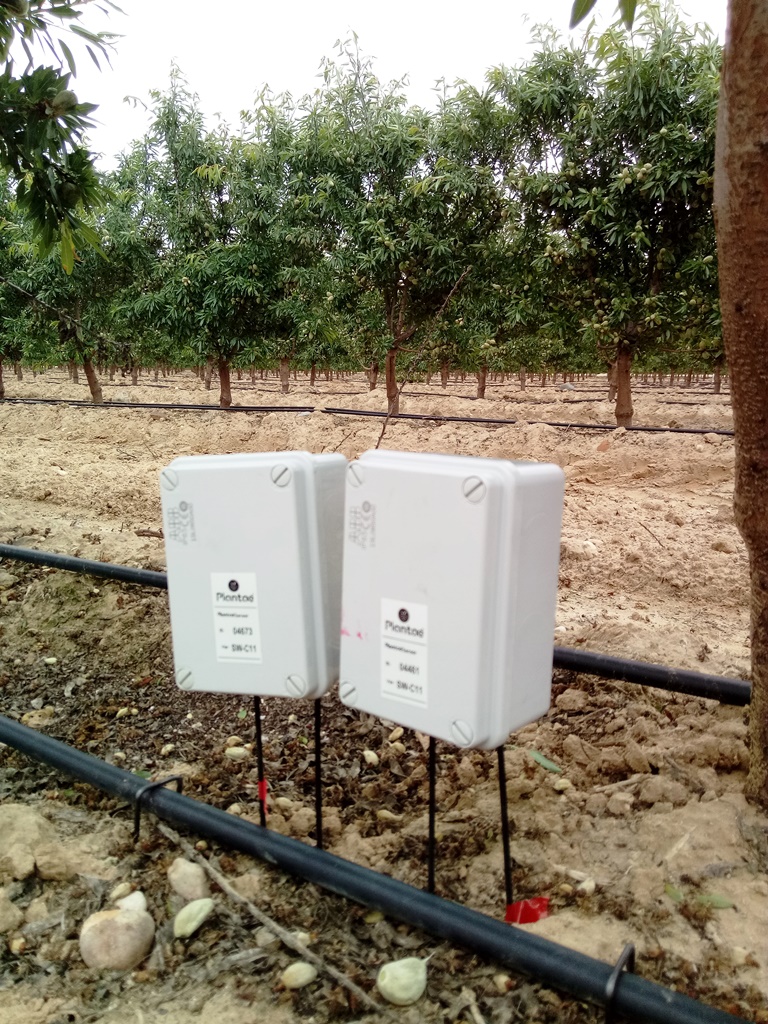 IoT y Big data en riego por goteo