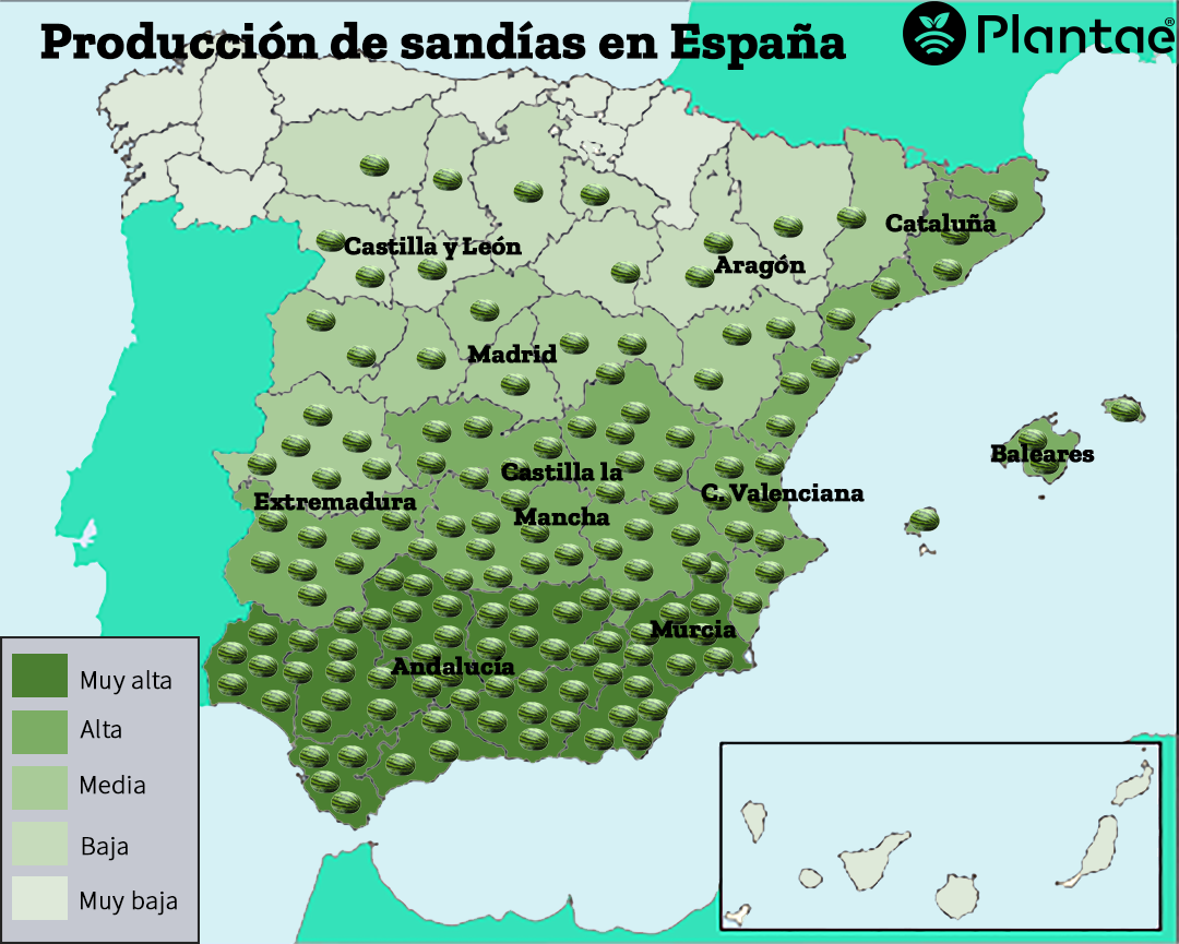 La sandia en España