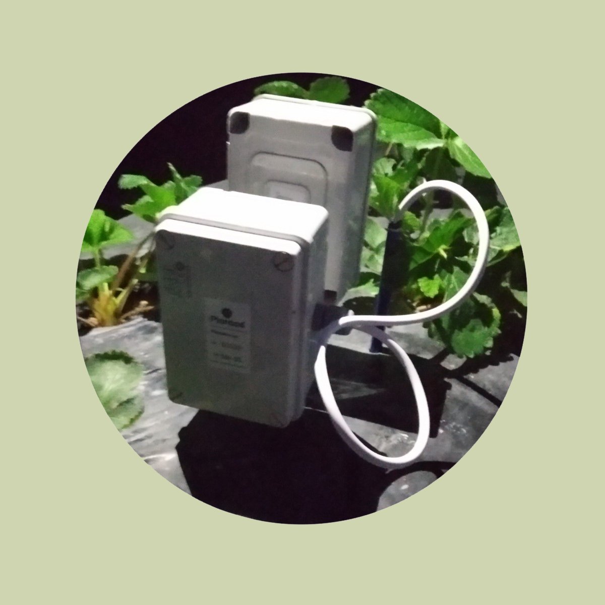 Sensor de temperatura