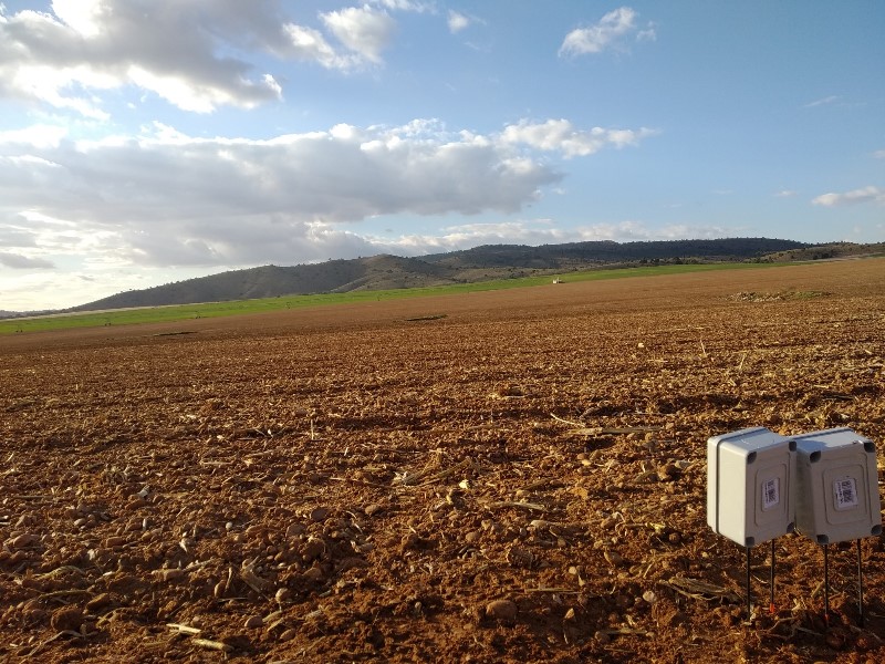 sonda-sensor.extensivo