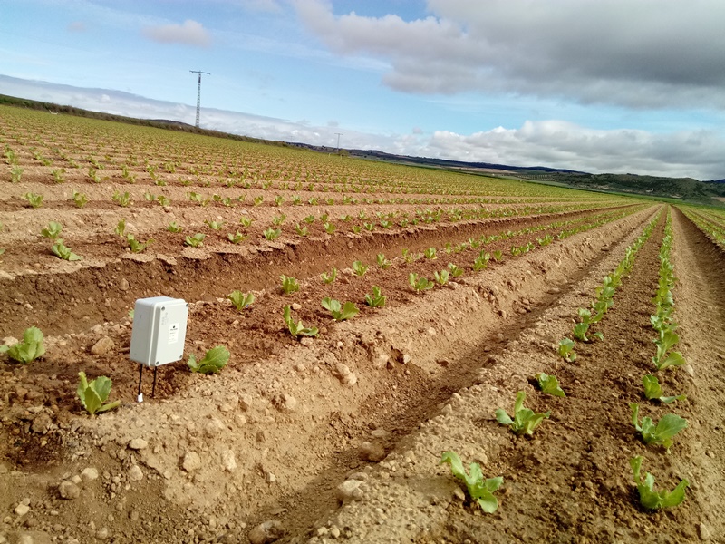 sonda-sensor-horticola
