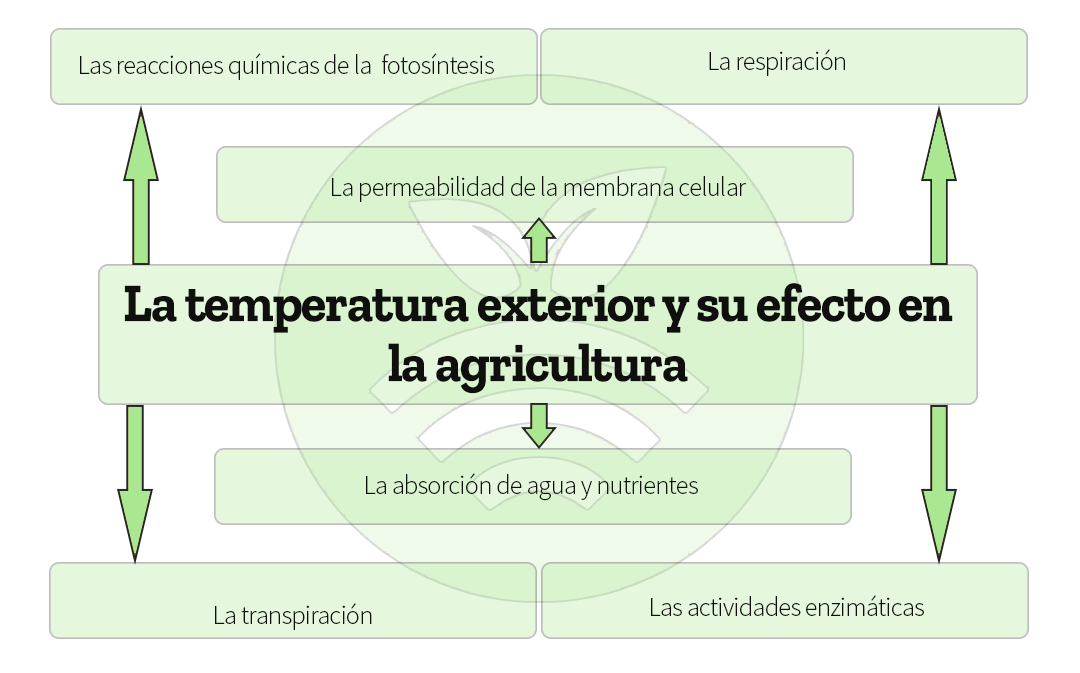 Temperatura exterior