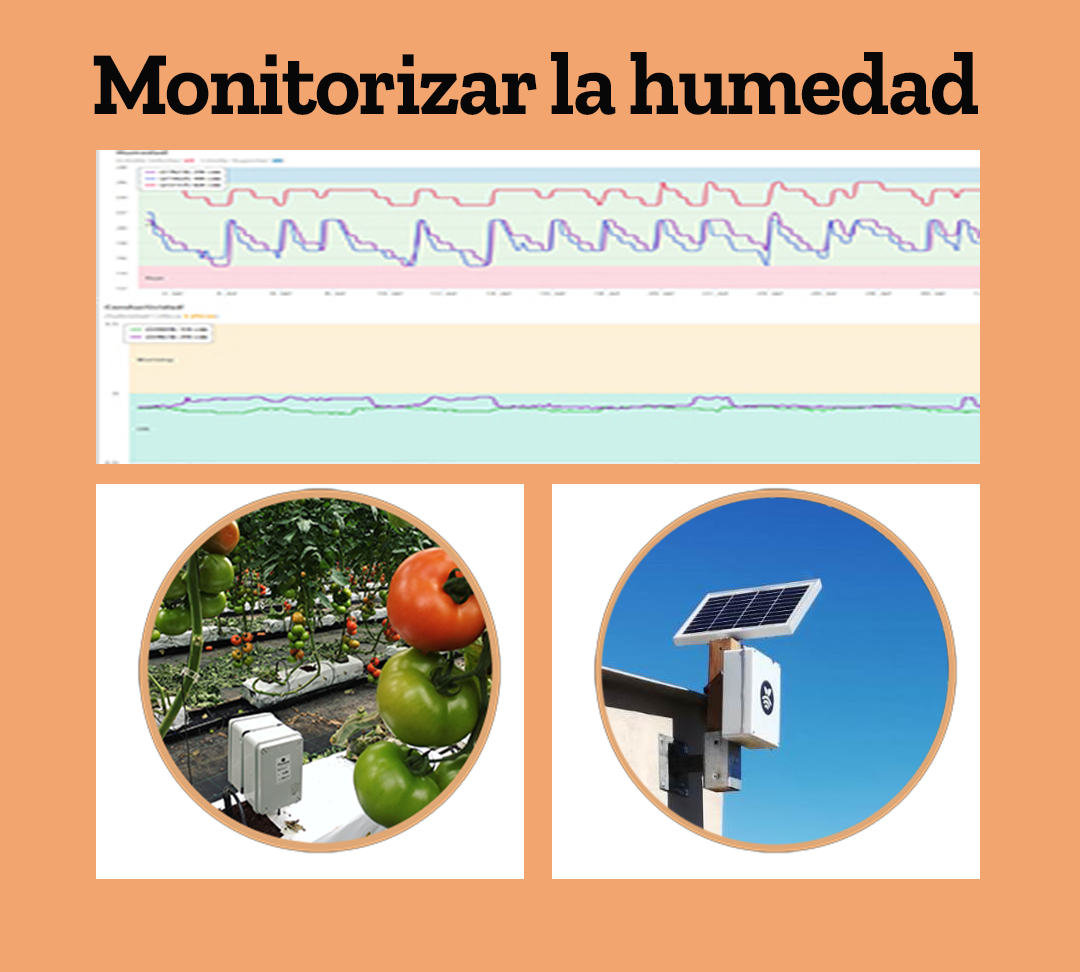 Monitorizar la humedad