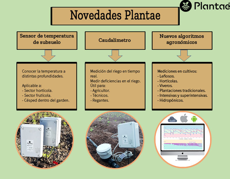 Novedades Plantae 2020