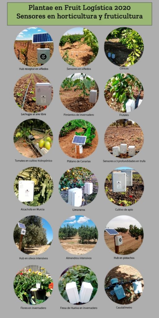 Muestra de ello es la siguiente imagen con sensores en frutas y verduras frescas de España, Portugal y Argelia.