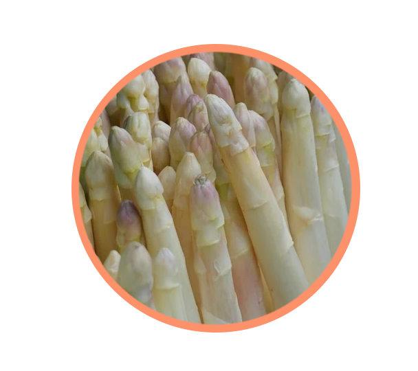 Espárragos blancos de tudela