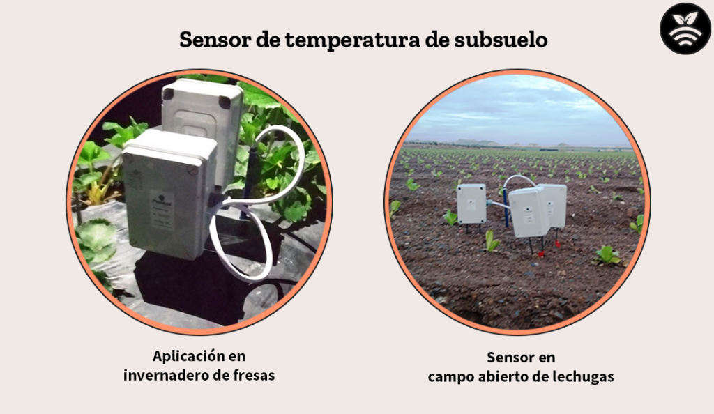Sensor de temperatura de subsuelo para optimizar el agua de riego