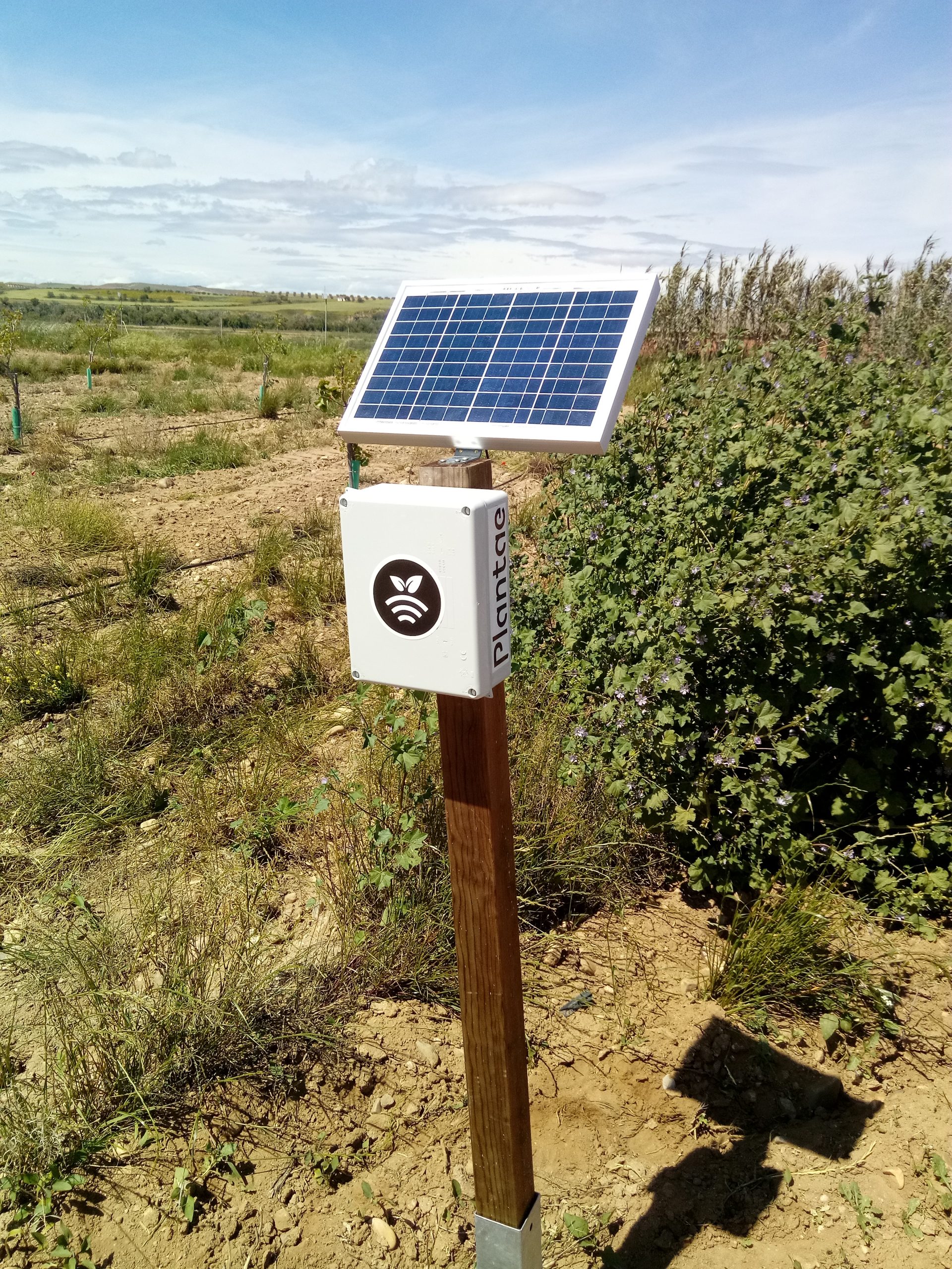 Hub para controlar sensores/sonda agrícolas para pistacho