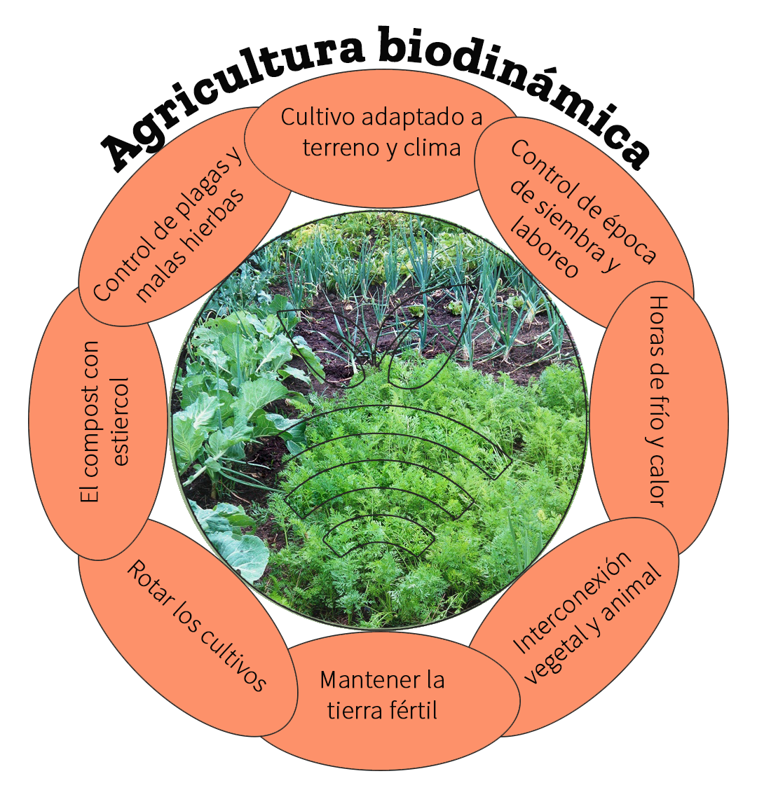 Agricultura biodinámica