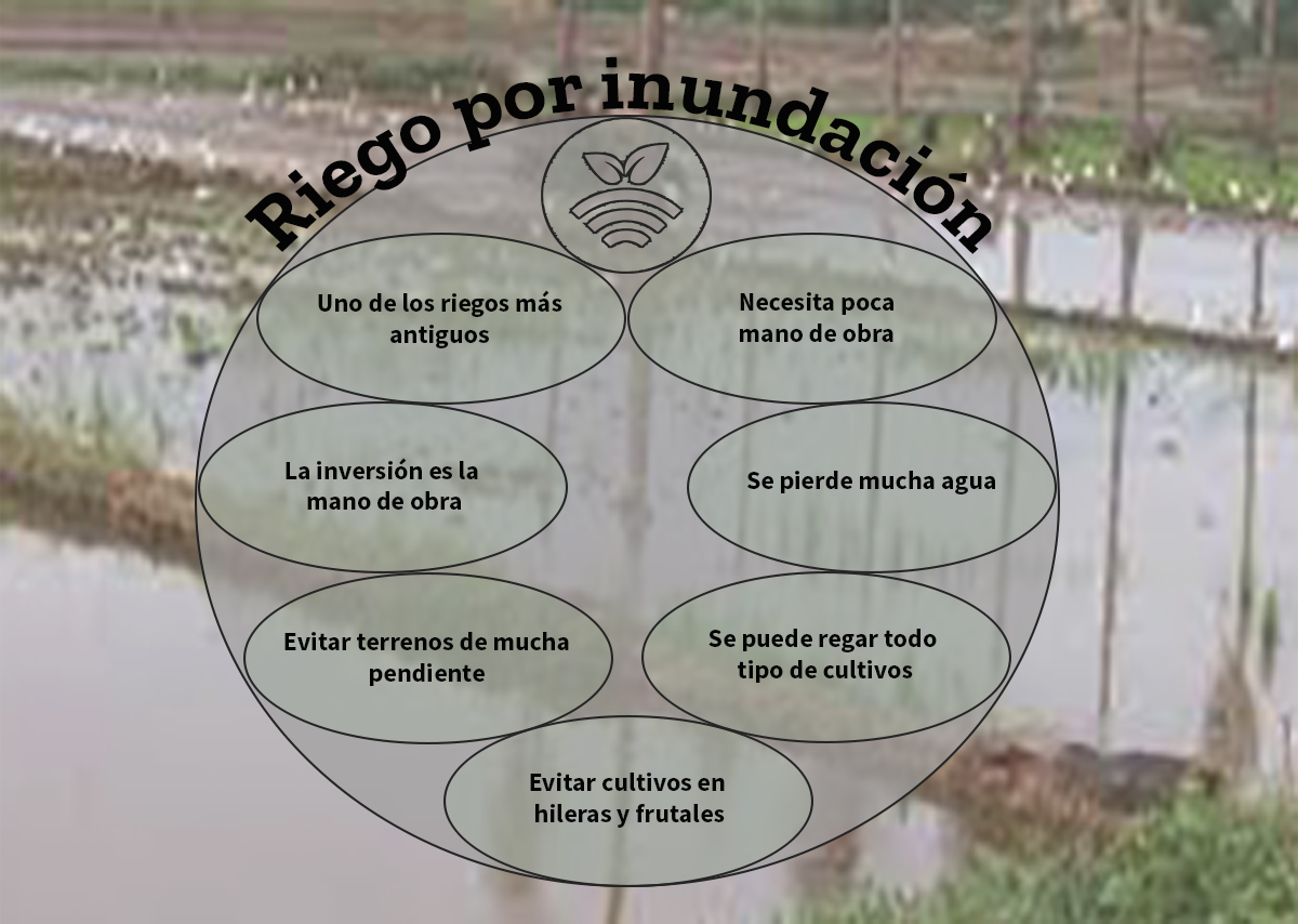 Riego por tendido o inundación