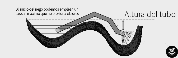 Llenado del surco 