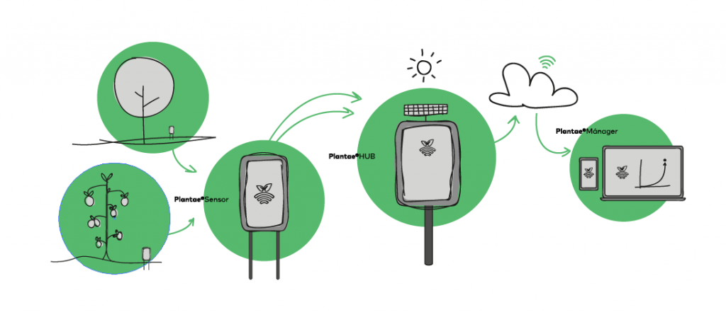 Tecnología Plantae