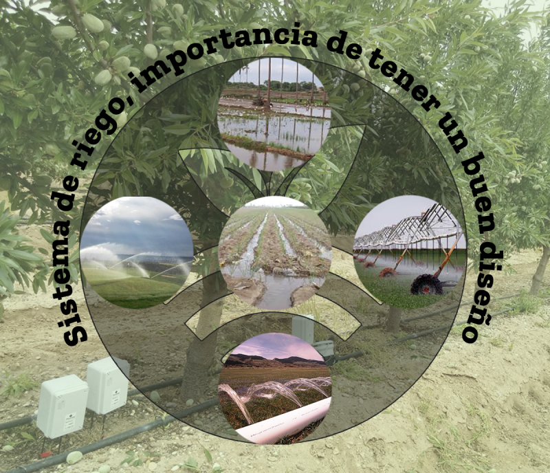 Tipos de riego-importancia de su diseño