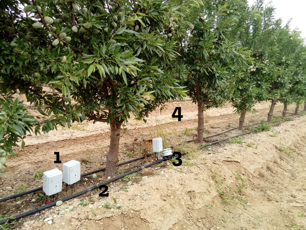 Tipos de agua para riego