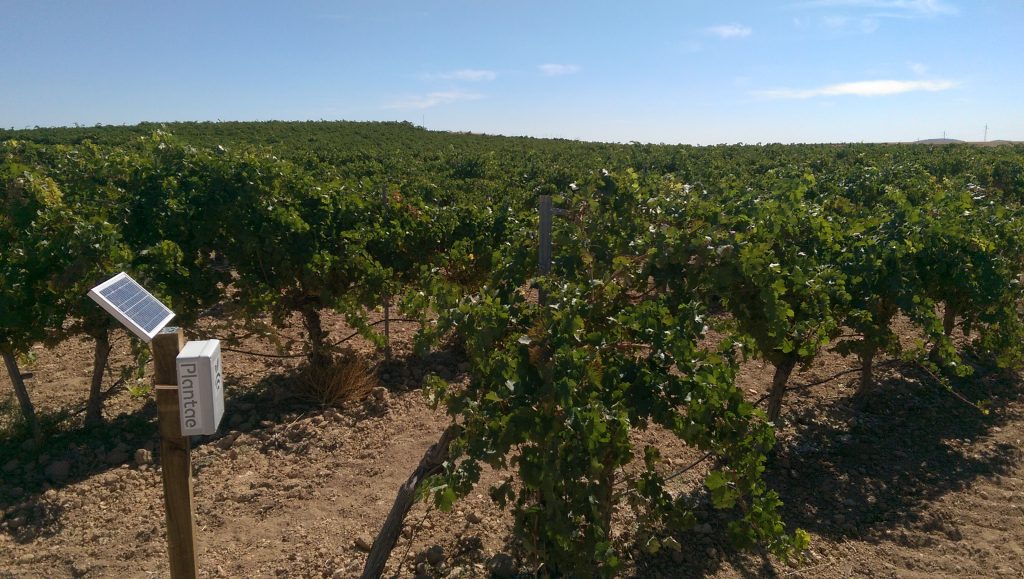 Sensores inteligentes de humedad en viñedos