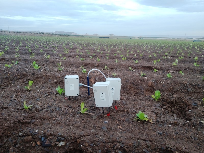 Sensor de temperatura de subsuelo