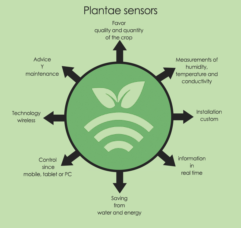 Plantae agro