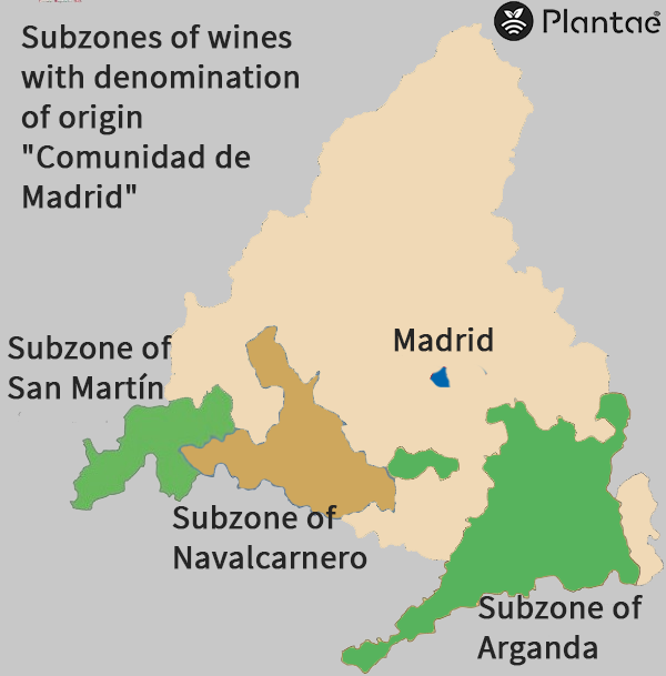 Vinos de Madrid