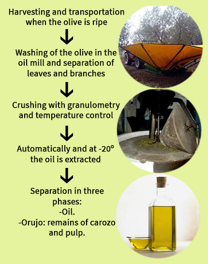 Producción del aceite