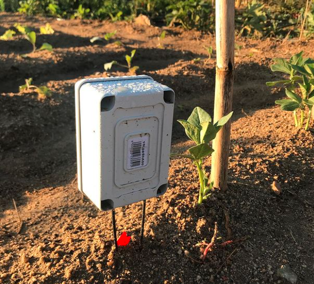 Sensor controlando el riego del huerto urbano