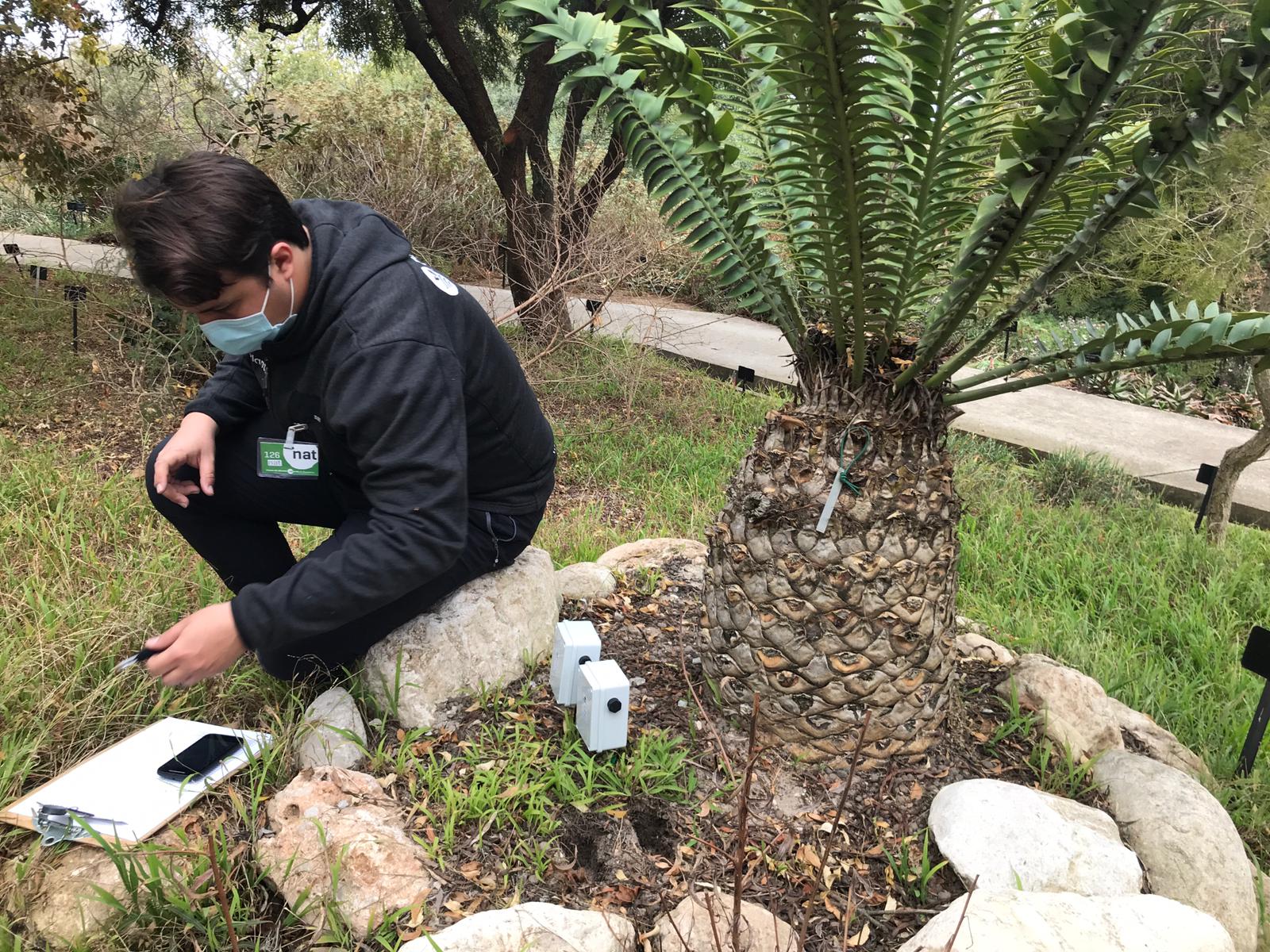 Técnico de Plantae instalando sondas en el jardín botánico