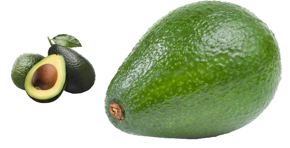 Avozilla