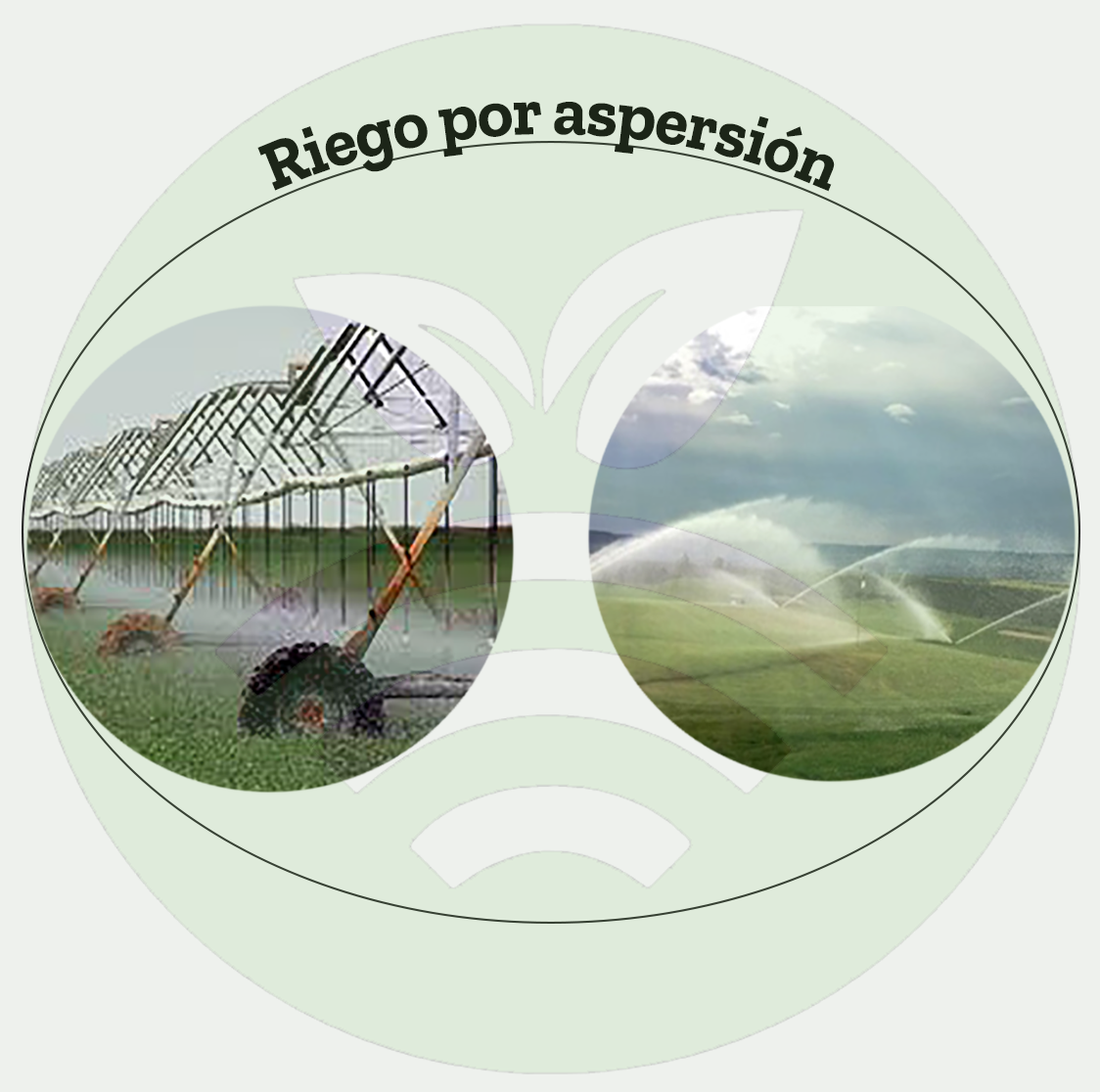 Riego por aspersión