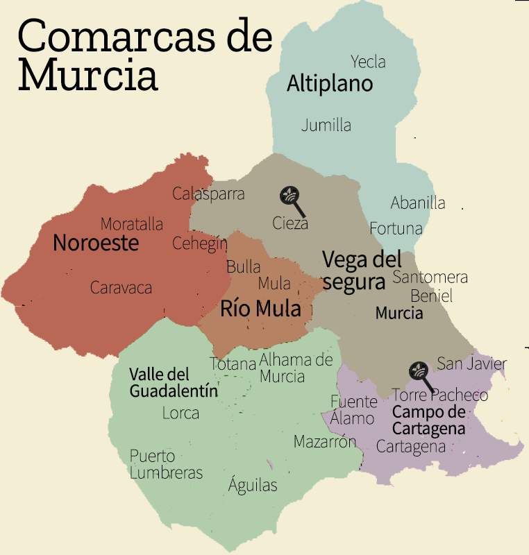 Mapa de Murcia por comarcas-Partners Campoés distribuidor en Cieza y Torre Pacheco