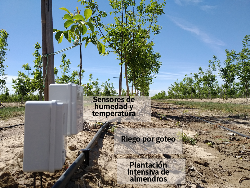 Riego controlado con sensores-sondas