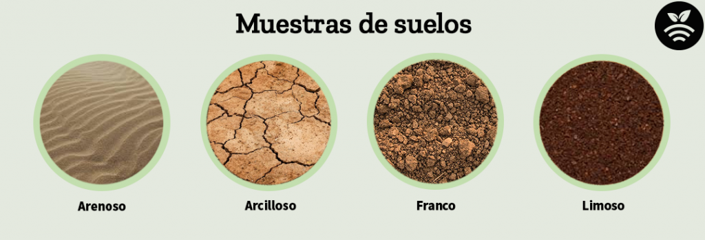 Tipos de suelos agrarios
