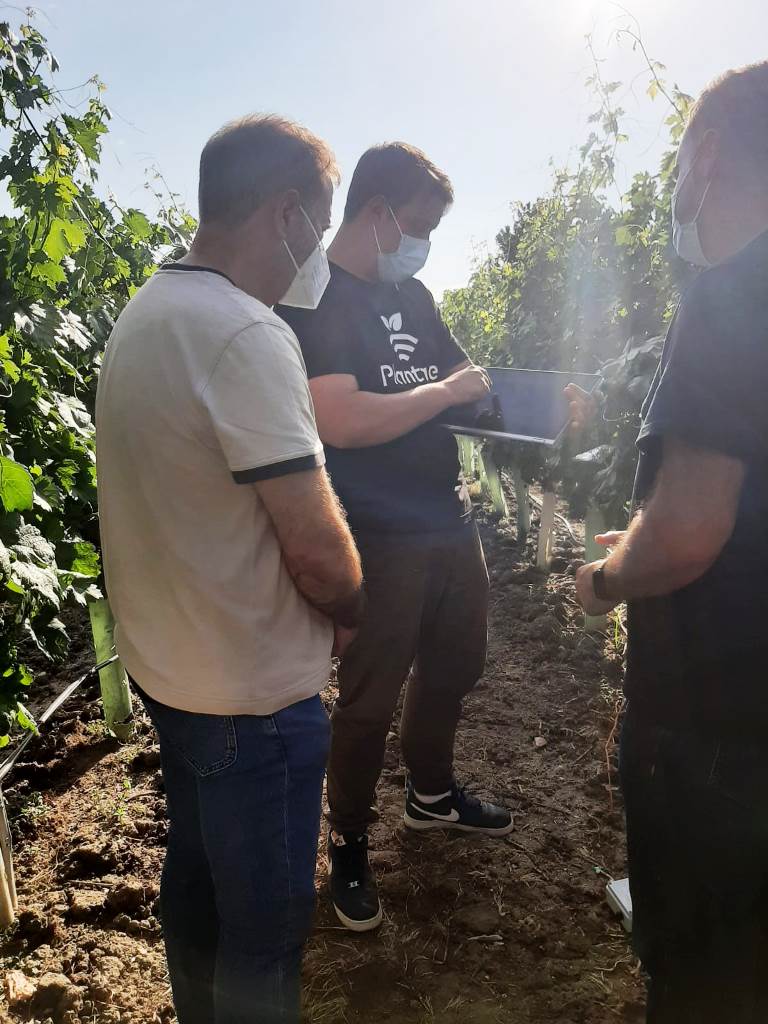 Plantae instalando sensores