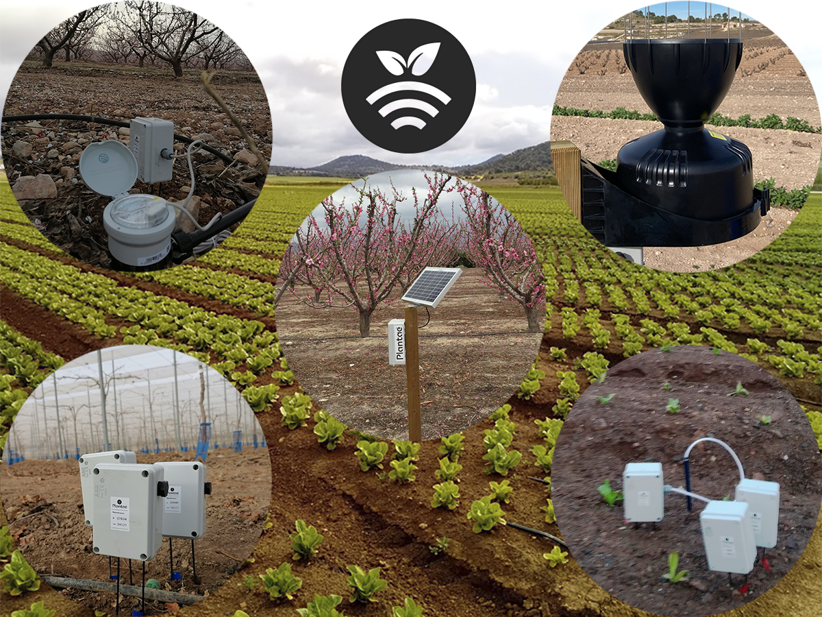 Agricultura de precisión y nutrición