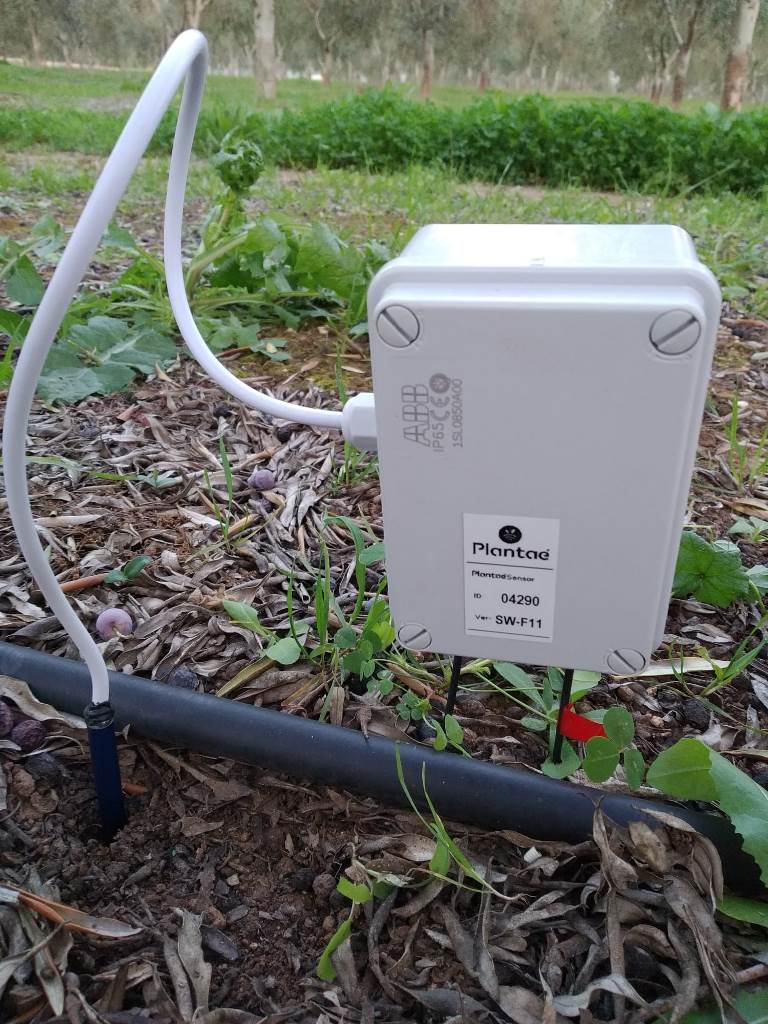 Sensor de temperatura-atmósfera en el suelo