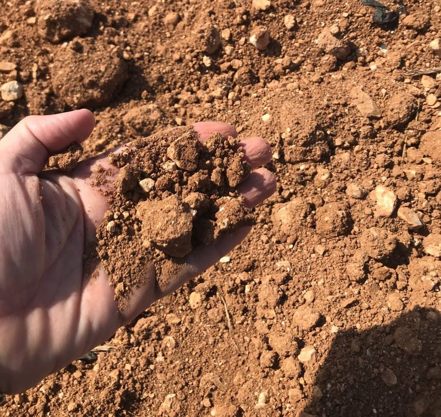 Tierra para cultivo- atmósfera del suelo-Componentes abióticos