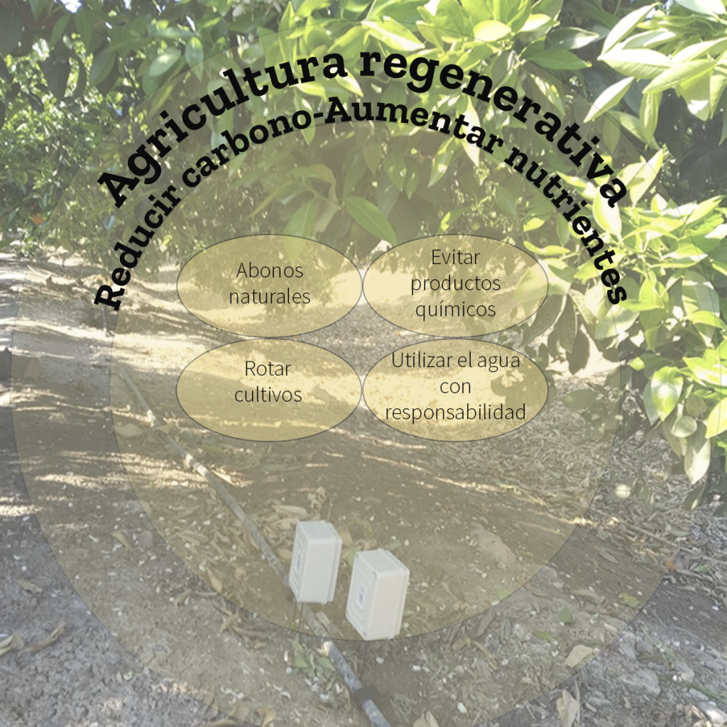 Agricultura regenerativa
