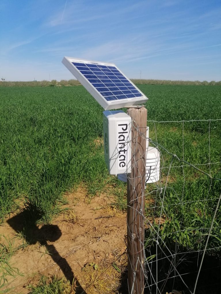 Hub en herbáceos-Somos campo