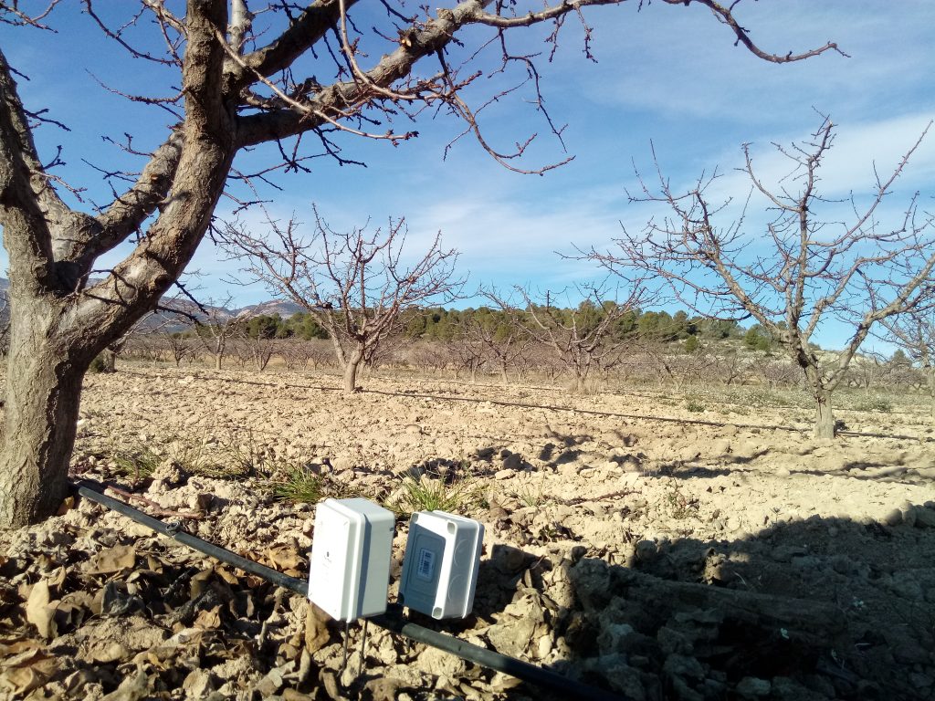 Sensores en albaricoque