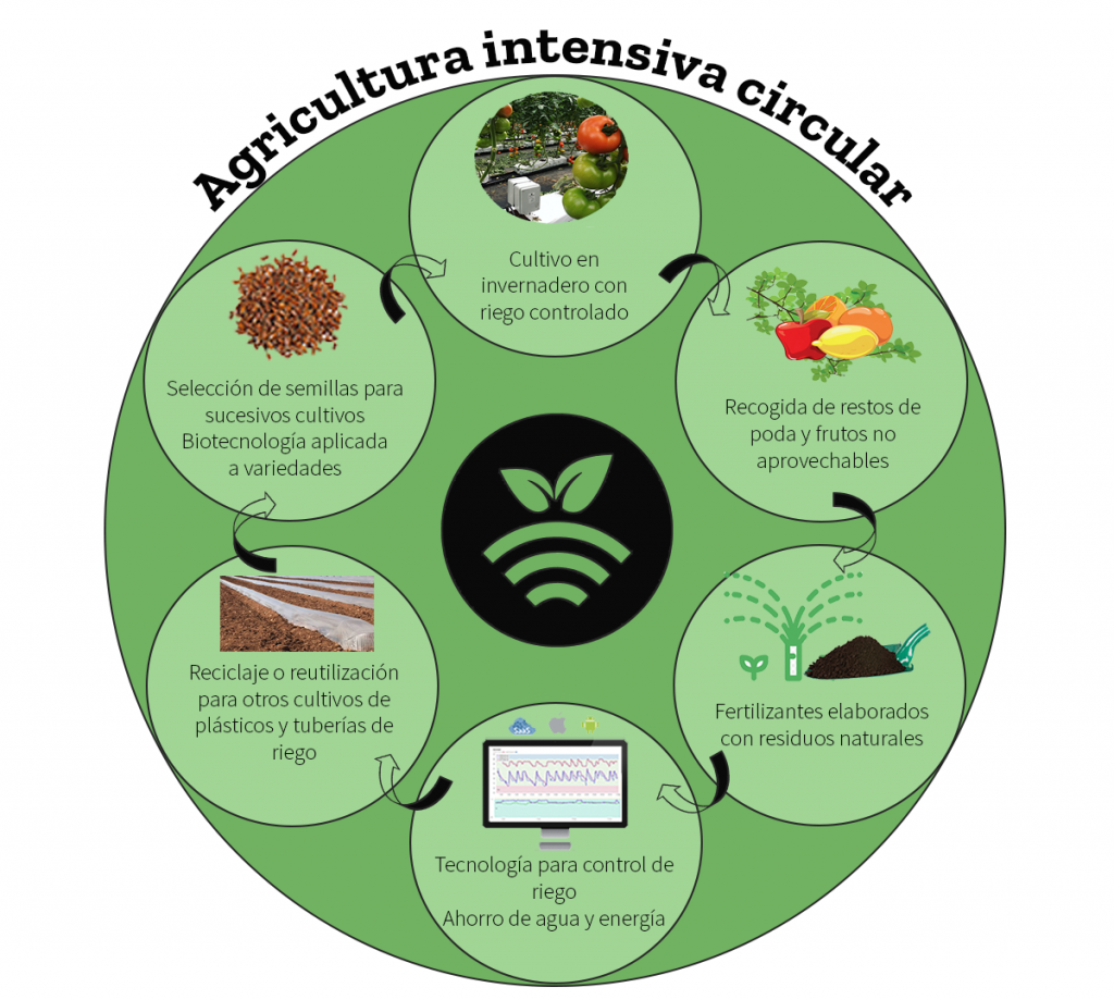 Agricultura circular intensiva