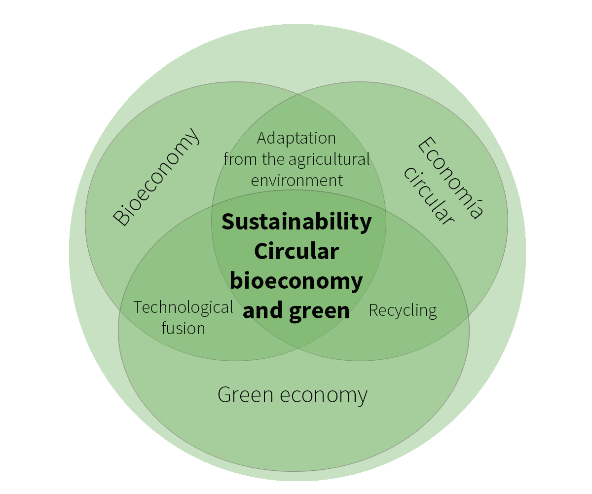 Bioeconomía agrícola circular y vrde