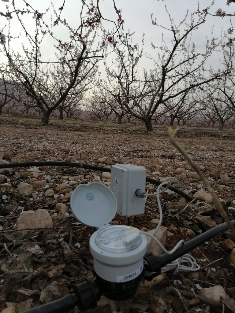 Caudalímetro en Frutales de Cieza