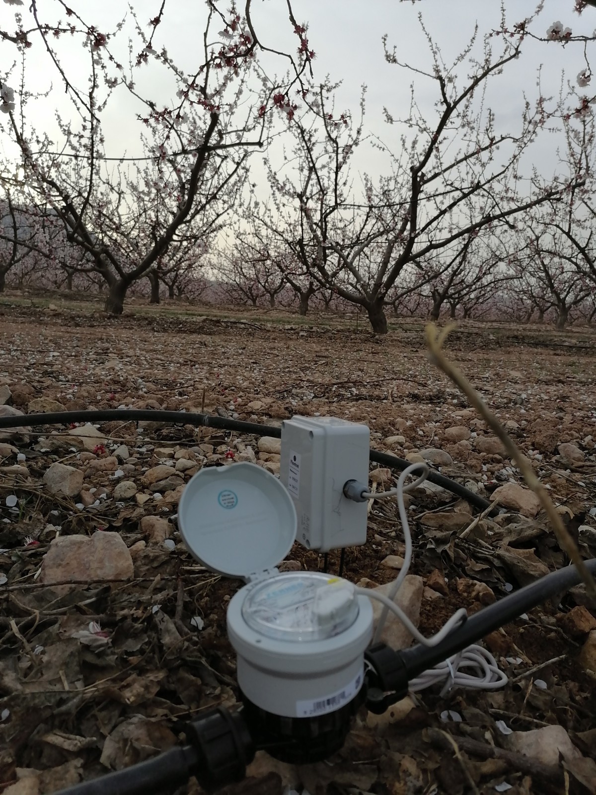 Caudalímetro en Frutales de Cieza